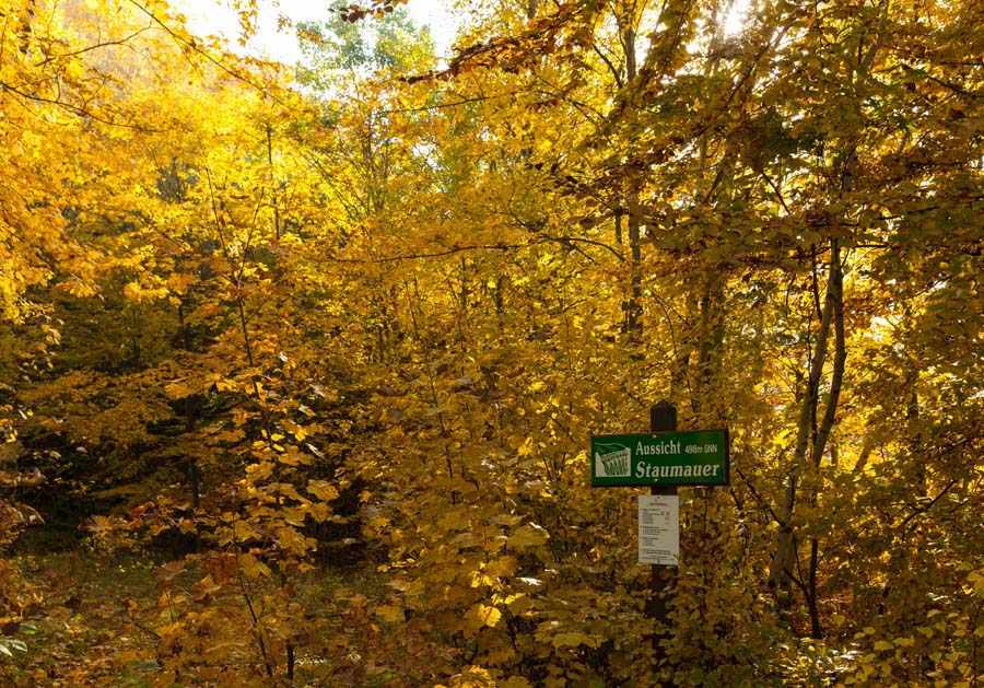 Der Diemelsteig - Uriger Wanderweg am Diemelsee 6